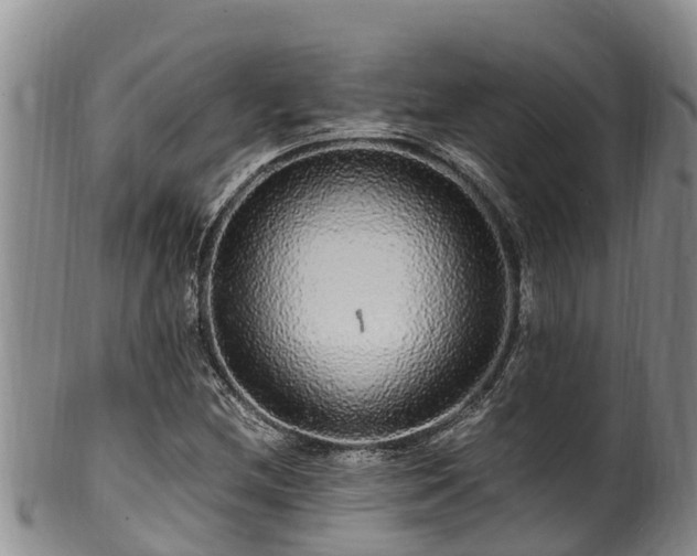 X0000100881212200806271129