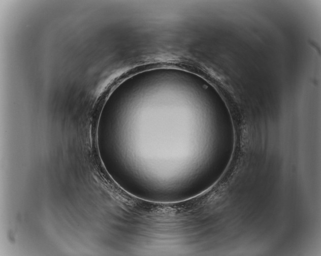 X0000100881214200806271129