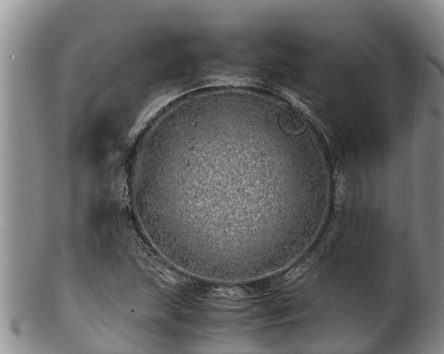 X0000100881215200806271129