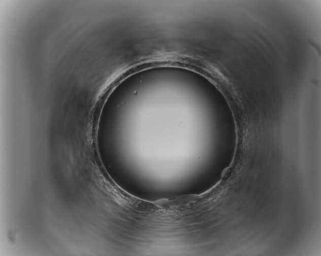 X0000100881216200806271129