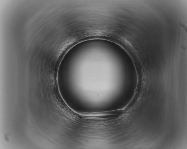 X0000100881218200806271129