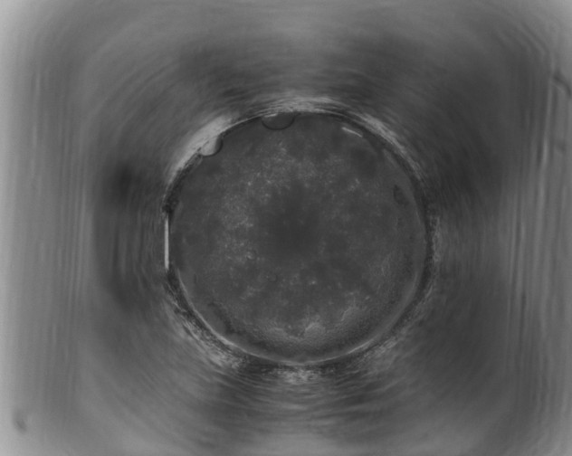 X0000100881219200806271129