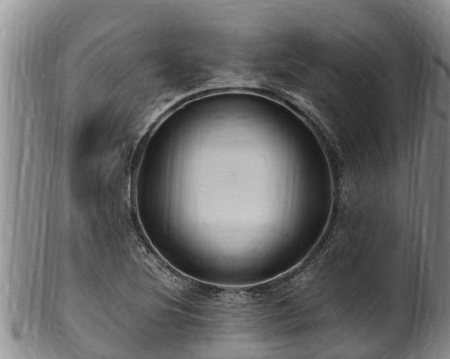 X0000100881220200806271129