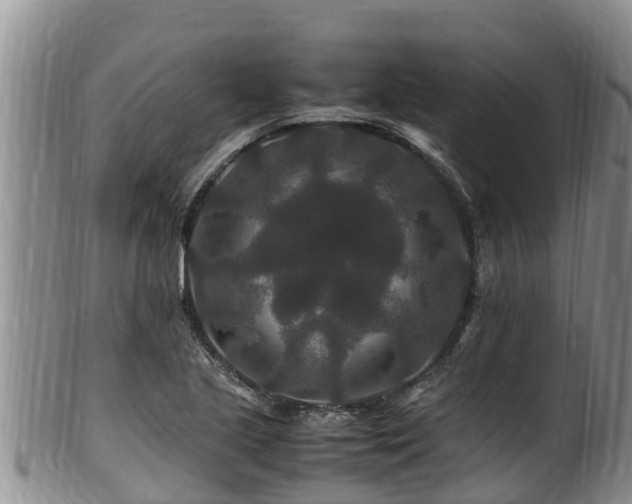 X0000100881221200806271129