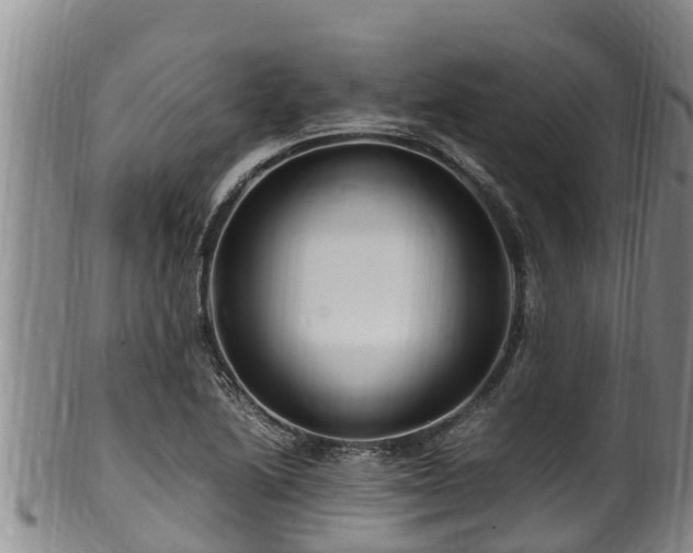 X0000100881222200806271129