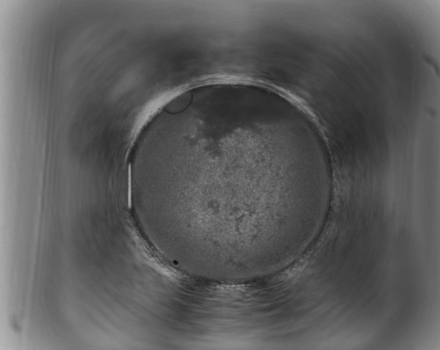 X0000100881223200806271129