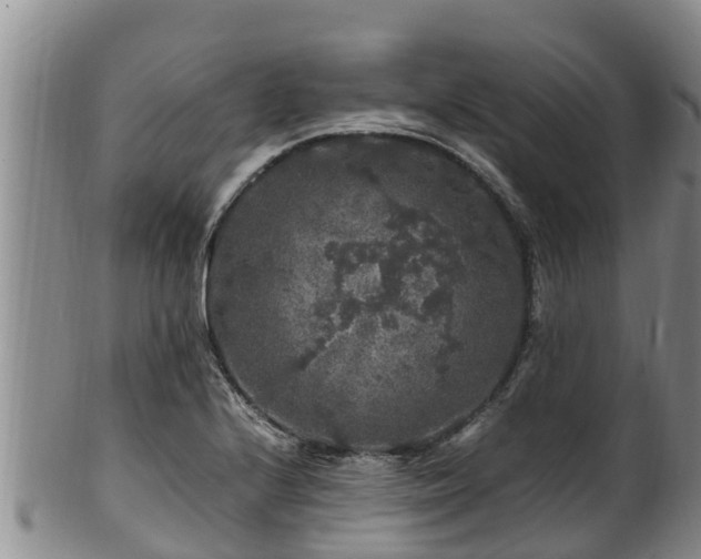 X0000100881224200806271129