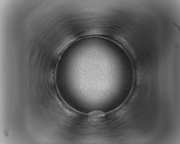 X0000100881225200806271129