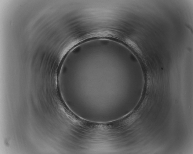 X0000100881226200806271129