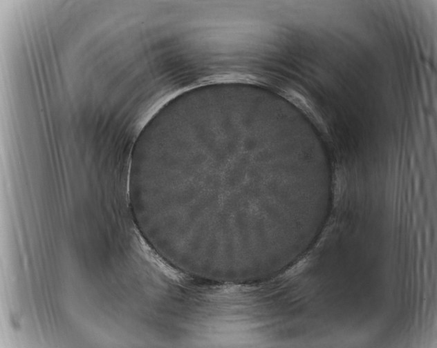 X0000100881228200806271129