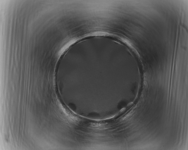 X0000100881229200806271129