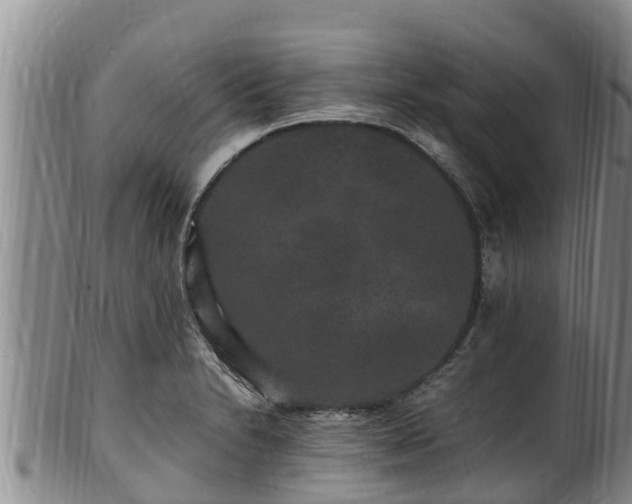 X0000100881230200806271129