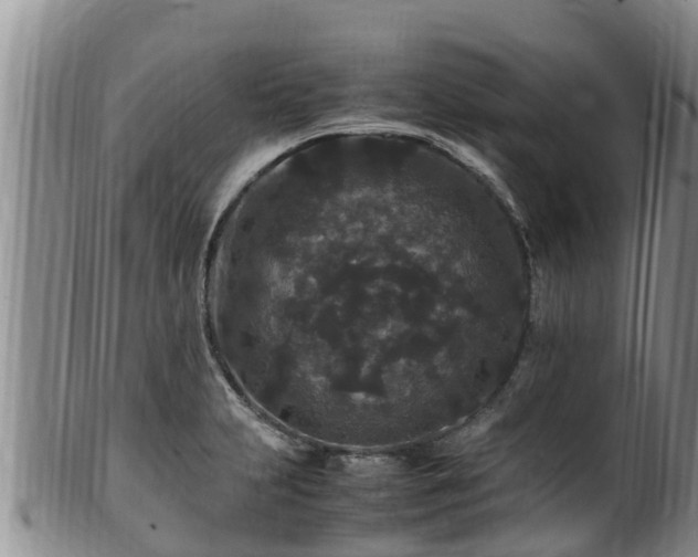 X0000100881231200806271129