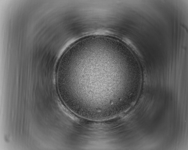 X0000100881232200806271129