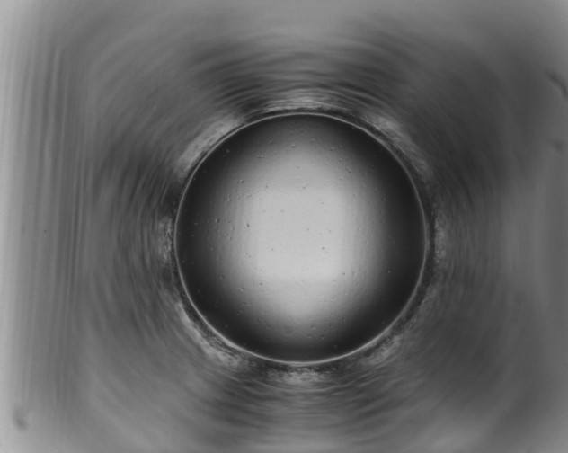 X0000100881233200806271129