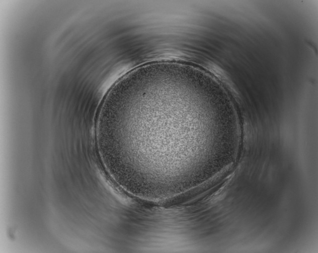 X0000100881234200806271129