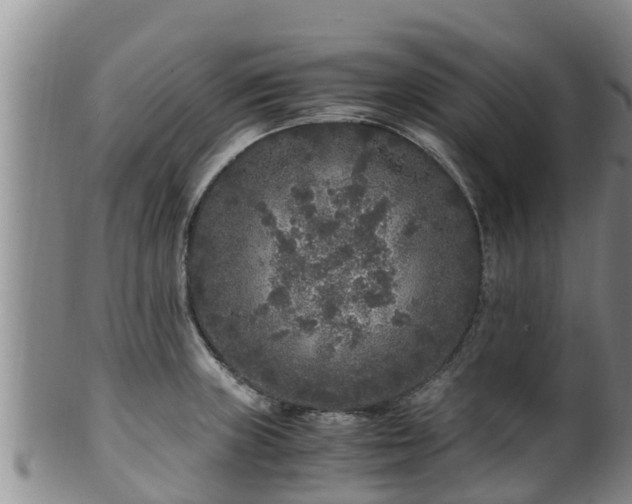 X0000100881235200806271129