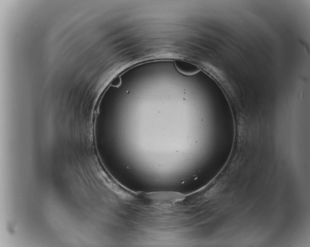 X0000100881236200806271129