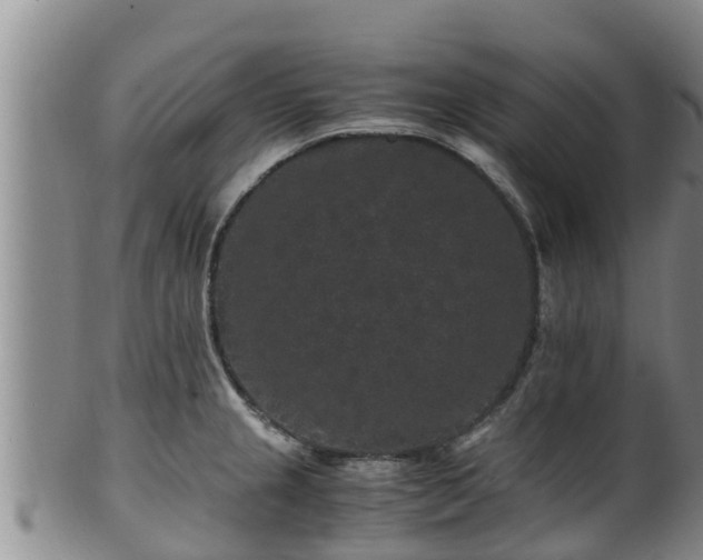 X0000100881237200806271129