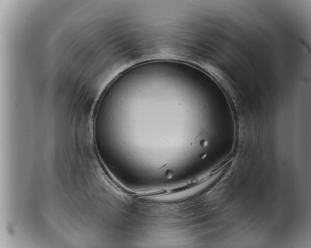 X0000100881238200806271129