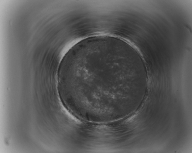 X0000100881239200806271129