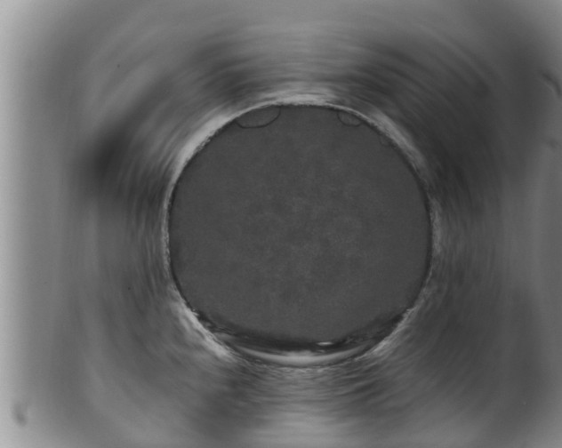 X0000100881240200806271129