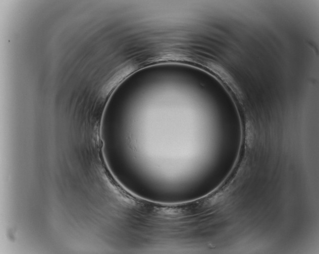 X0000100881241200806271129