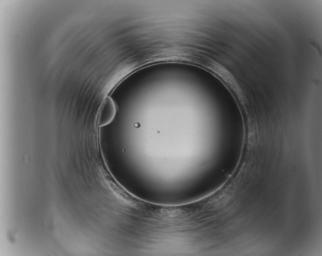 X0000100881242200806271129