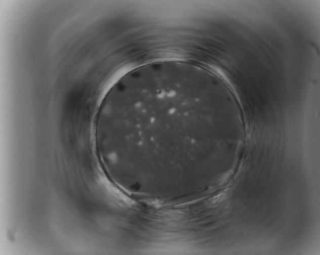 X0000100881243200806271129