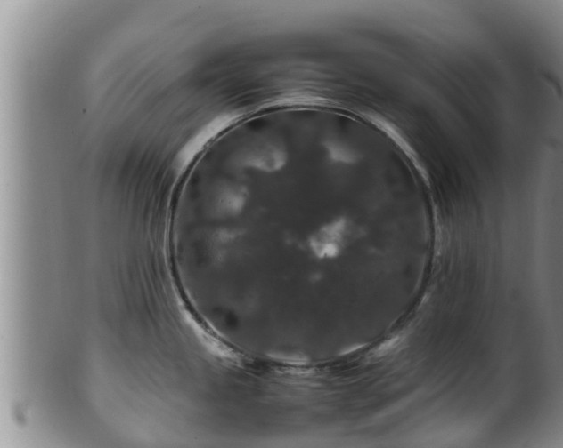 X0000100881245200806271129