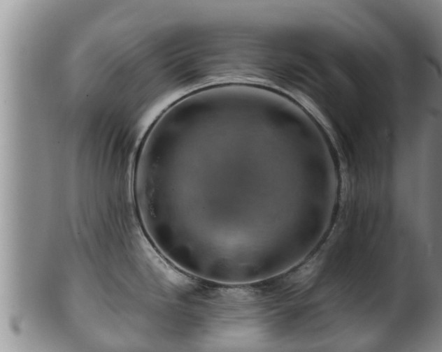 X0000100881246200806271129