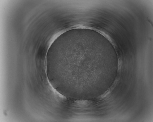 X0000100881247200806271129