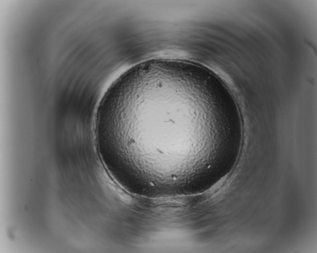 X0000100881248200806271129