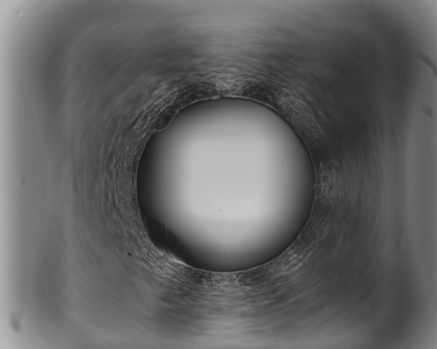 X0000100881249200806271129