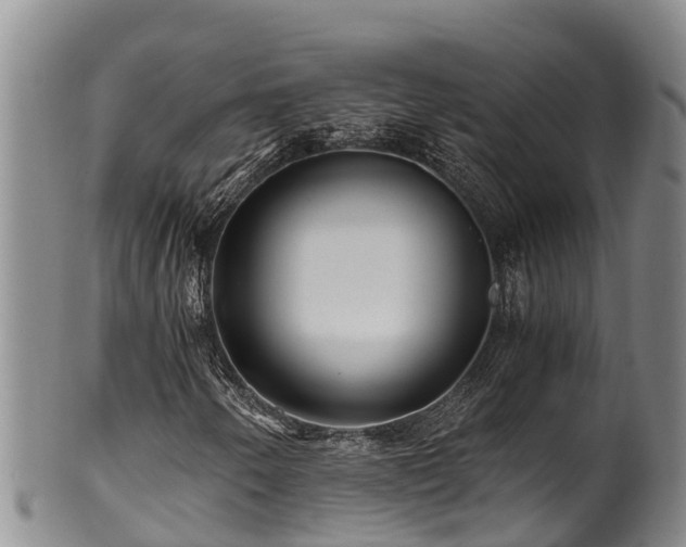 X0000100881250200806271129