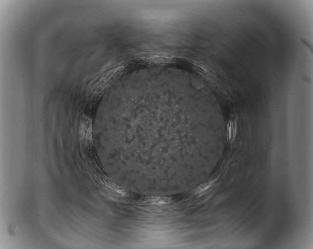 X0000100881251200806271128