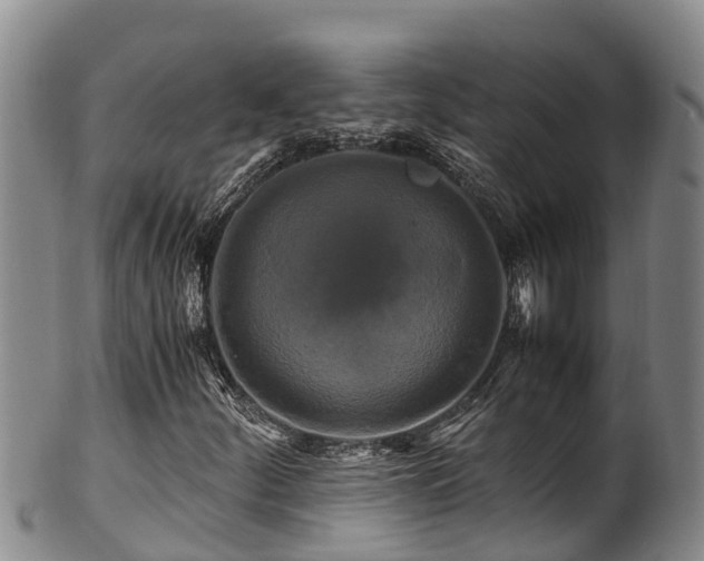 X0000100881252200806271128