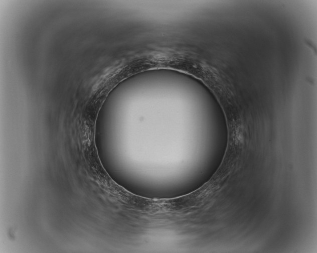 X0000100881253200806271128