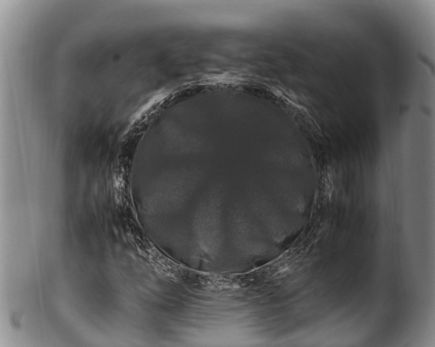 X0000100881254200806271128