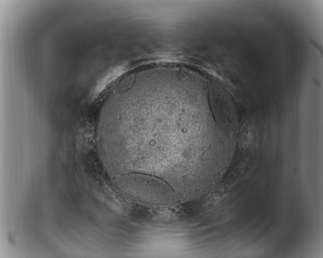 X0000100881255200806271128