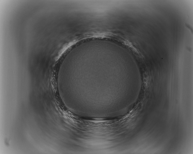 X0000100881256200806271128