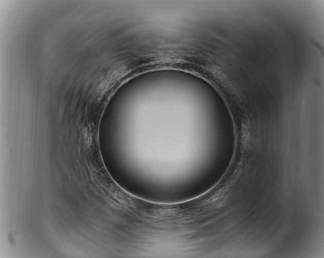 X0000100881257200806271128