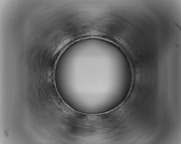 X0000100881258200806271128