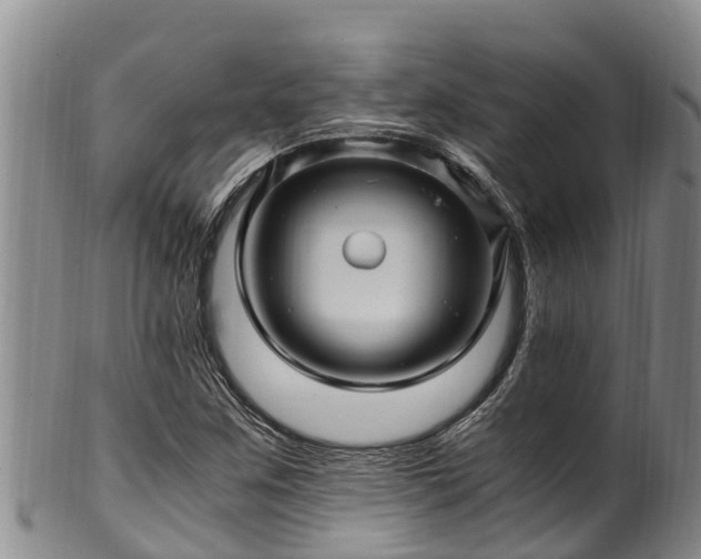 X0000100881259200806271128