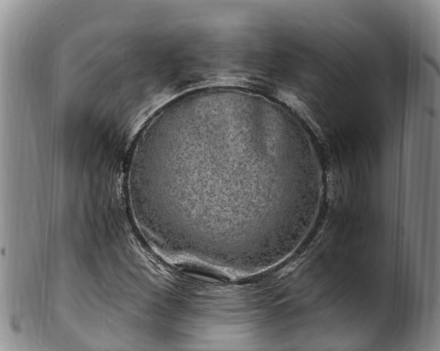 X0000100881260200806271128