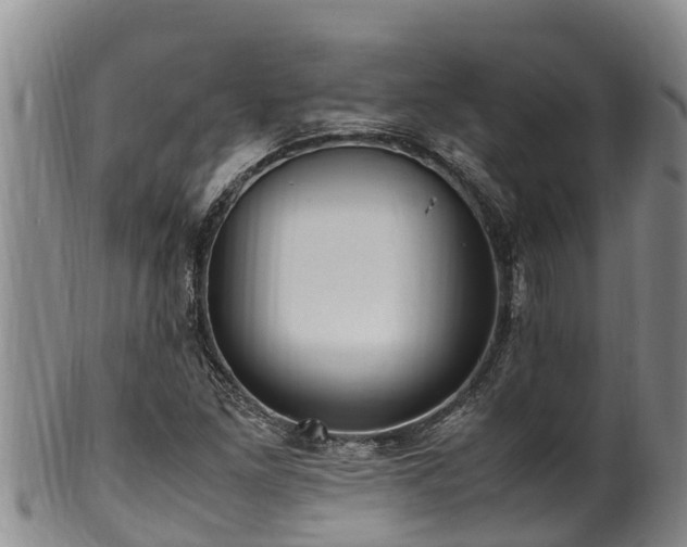 X0000100881261200806271128