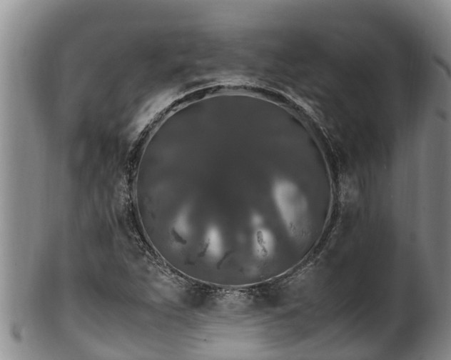 X0000100881263200806271128