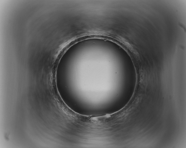 X0000100881264200806271128