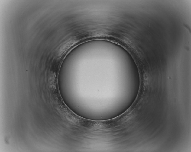 X0000100881265200806271128