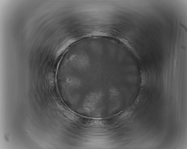 X0000100881266200806271128